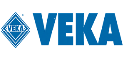 лого века